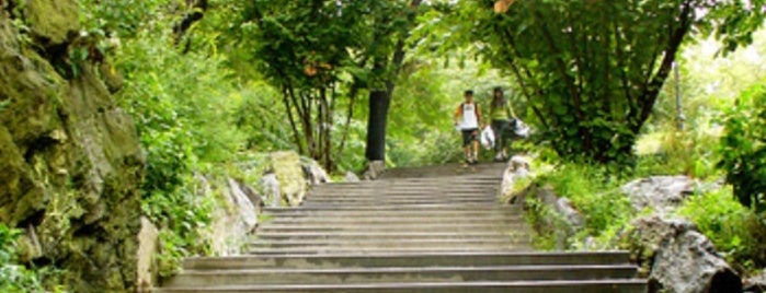 Morningside Park is one of Lugares favoritos de Foad.