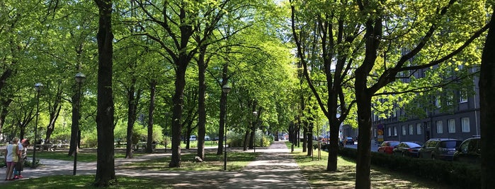 Politseiaia park is one of Tallinn.