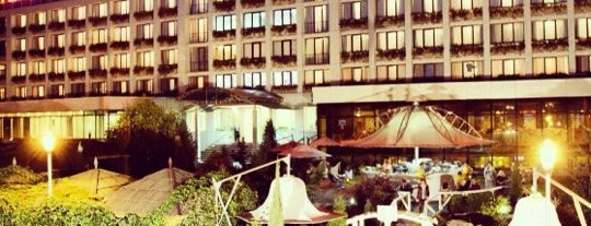 Готель "Буковина" / Bukovyna Hotel is one of Posti che sono piaciuti a Юлия.