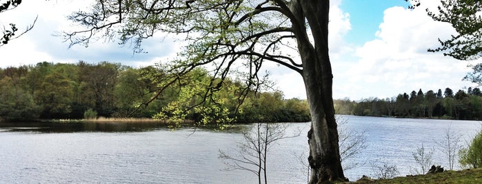 Virginia Water is one of All-time favorites in United Kingdom.