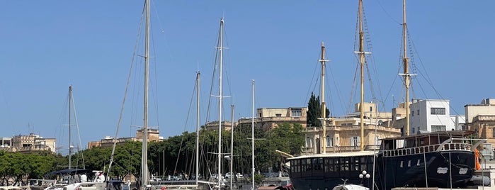 Royal Malta Yacht Club is one of Malta.