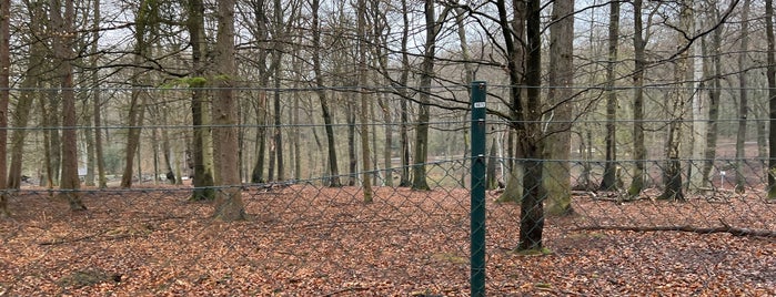 Wildgehege im Weitmarer Holz is one of Ausflugsziele NRW.