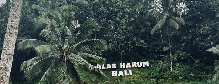 Cretya Ubud By Alas Harum is one of Bali - JKT.