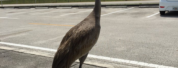 Broward County Rest Area is one of Been there. Done that..