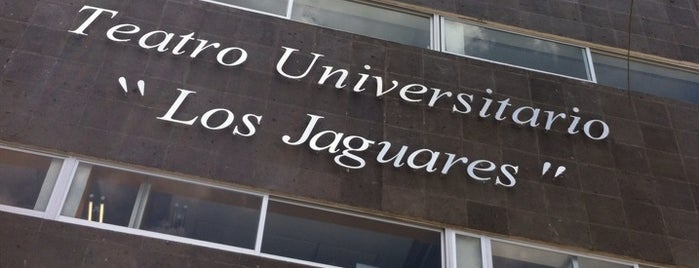 Teatro Universitario "Los Jaguares" is one of Locais curtidos por Ricardo.