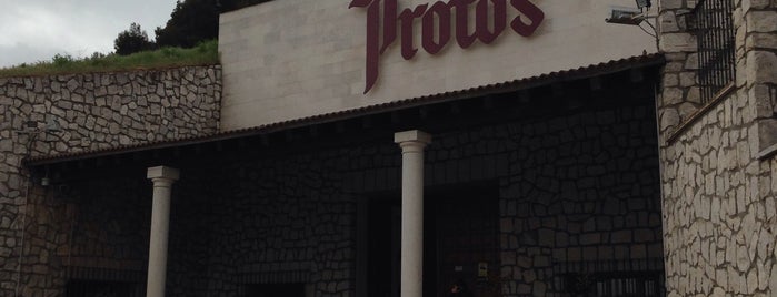 Bodegas Protos is one of Inma y Bauti.