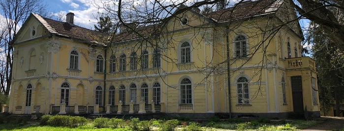 Палац Фредрів-Шептицьких / Palace Fredro-Sheptytskyh is one of Самбір, Розлуч.