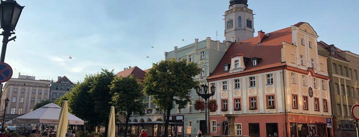 Rynek is one of Polonia.