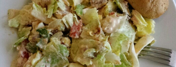 saladworks is one of The 15 Best Places for Brussel Sprouts in Greensboro.