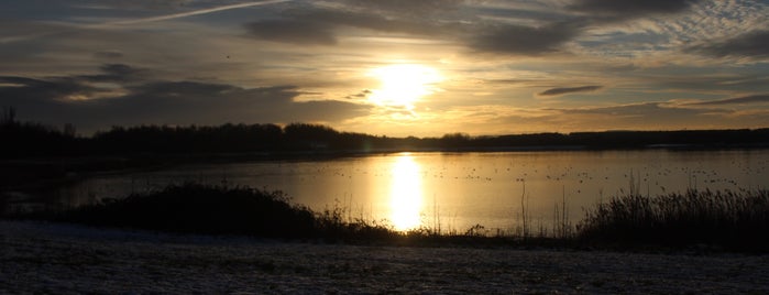 Anglers Country Park is one of Fave places!.