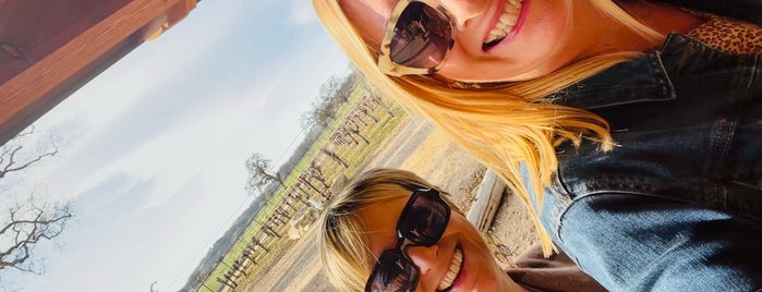 B&E Vineyards is one of Paso Robles Faves.