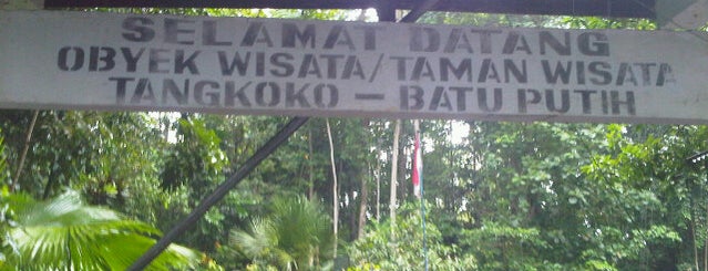 Tangkoko Nature Reserve is one of INDONESIA Best of the Best #1: The Nature.