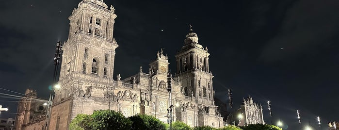 Catedral Metropolitana de la Asunción de María is one of México.