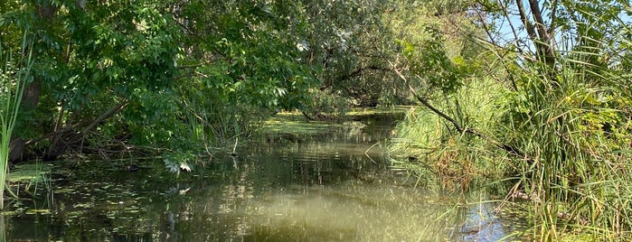 Tiszafüred - Tisza-tó is one of Imre 님이 좋아한 장소.