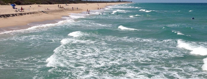 Sebastian Inlet State Park is one of Florida Must See Beaches.