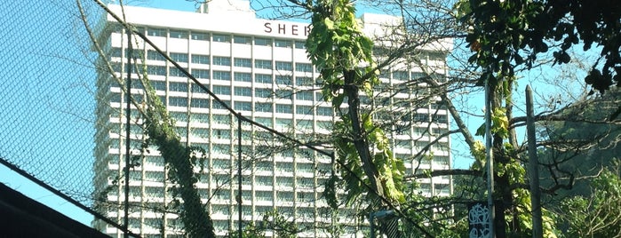 Sheraton Grand Rio Hotel & Resort is one of Hotéis Rio de Janeiro.