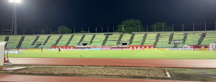 Estadio Universitario de Caracas is one of Orte, die Raiza gefallen.