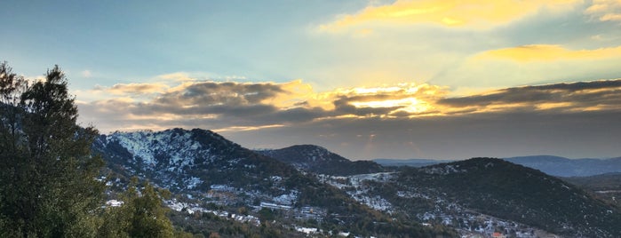 Maasser El Chouf Cedars is one of Discover Lebanon.