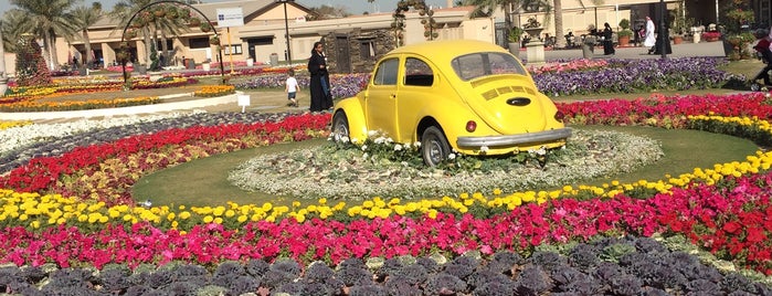 Dhahran Flower Festival is one of Kingdom of Saudi Aramco.