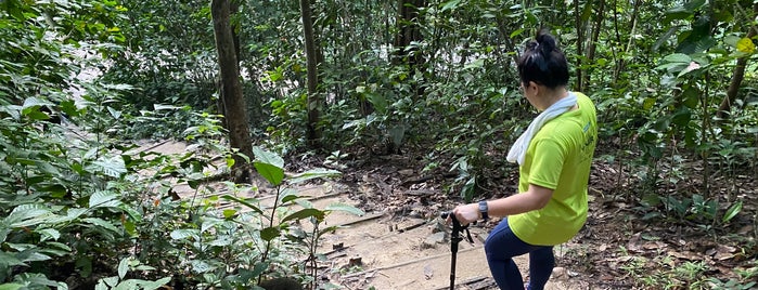 Bukit Sri Bintang (hiking trail) is one of XPLORE-OUTDOORS.