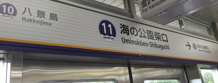 Uminokōen-Shibaguchi Station is one of Yokohama.