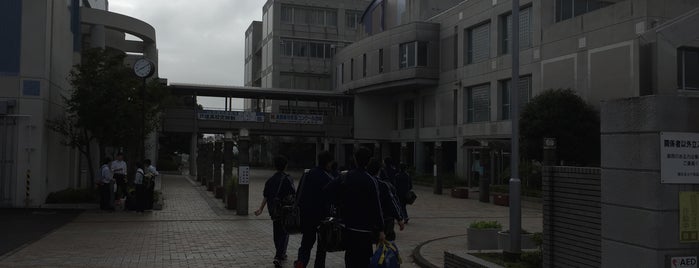 横浜市立戸塚高等学校 is one of 高校.