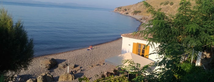 Golden Beach Restaurant is one of Locais salvos de Hande.