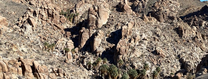 Lost Palms Oasis is one of Joshua Tree.