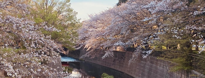 Soshigaya Park is one of Guide to 世田谷区's best spots.