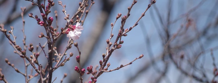 Roka Koshun-en Gardens is one of JPN Tokyo.