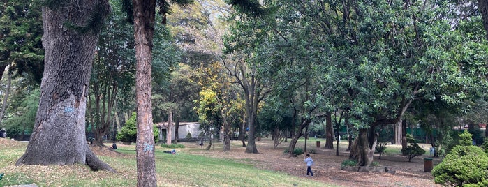 Parque Ecológico de Loreto y Peña Pobre is one of Some best places of Mexico City..