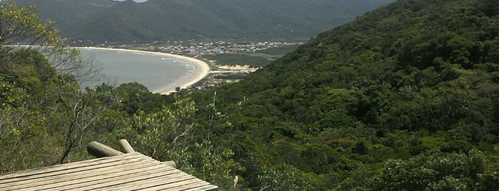 Mirante da trilha da Lagoinha do Leste is one of Trilhas Florianopolis.