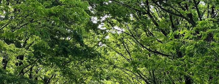 鶴間公園 is one of 南町田.