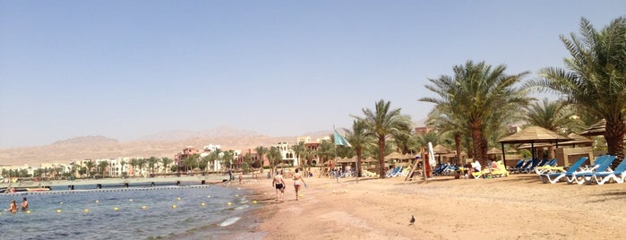 On The Beach is one of Aqaba.