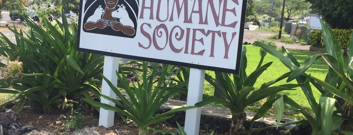 Hawaii Island Humane Society Kona Shelter is one of Cats in Hawai‘i.