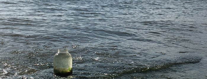 Dead Horse Bay is one of Quirky Things to do in NYC.