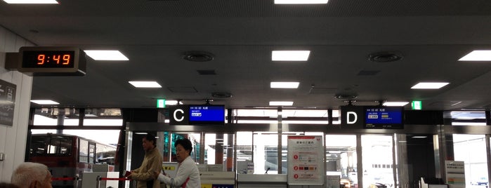 Domestic Departure Lobby is one of 成田空港.
