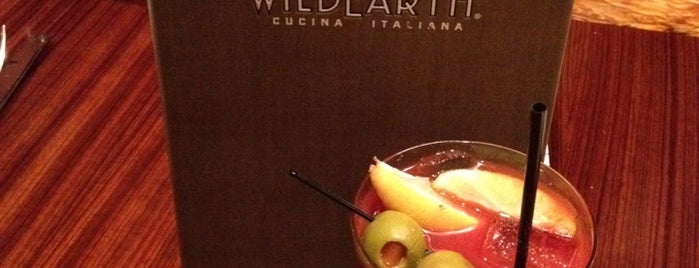 Wild Earth Cucina Italiana is one of Food to Try.
