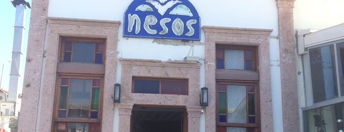 Fysiko Nesos Cafe is one of Tempat yang Disukai Cagla.