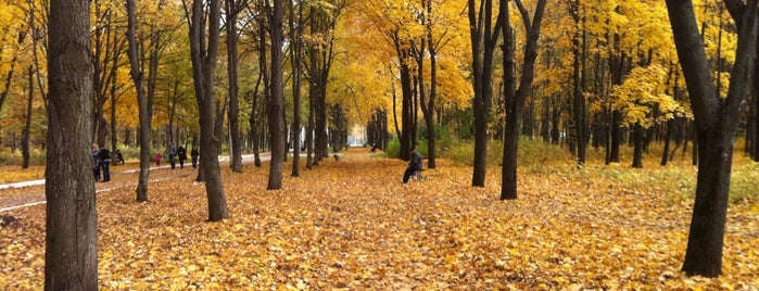 Парк «Зелений Гай» is one of Tempat yang Disukai Катерина.
