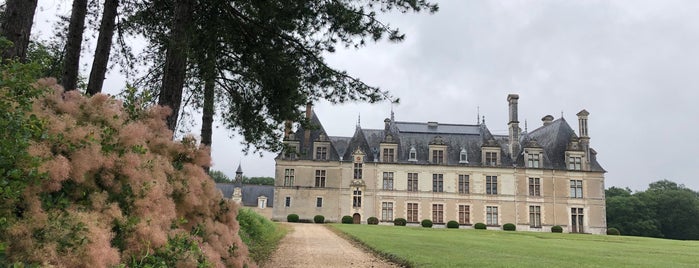 Château de Beauregard is one of Lugares que quiro visitar.