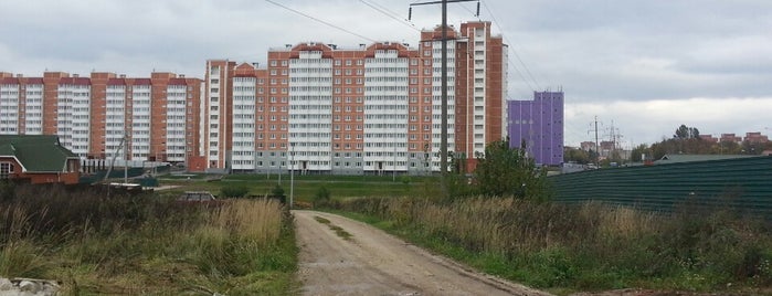 Чехов is one of Города Московской области.