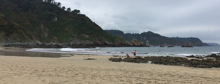 Playa de las Llanas is one of Playas del Principado de Asturias.