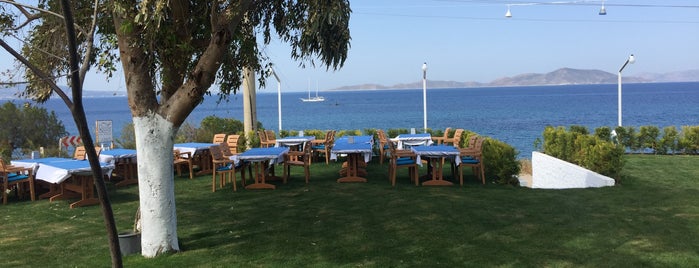 Cunda Balık Restaurant is one of Posti che sono piaciuti a Mert Efe.