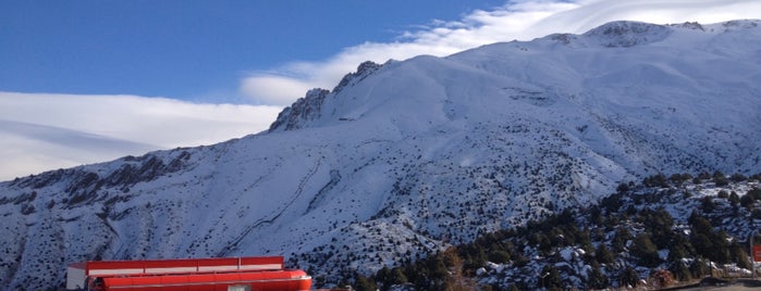 Erzincan Ergan Kayak Merkezi is one of สถานที่ที่ Onur ถูกใจ.