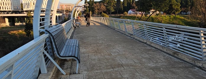 Moskovski most is one of Podgorica.