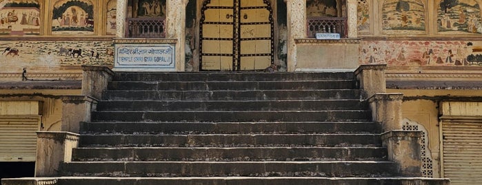 Galwar Bagh (Monkey Temple) is one of Jaipur💗.