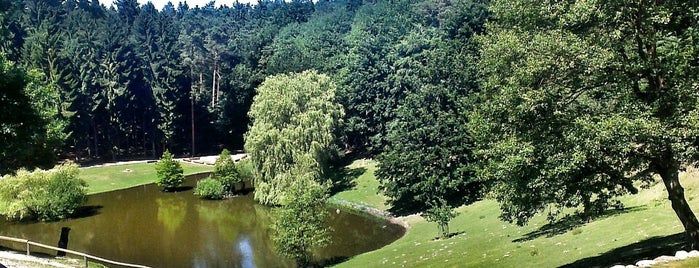 Wildpark Schwarze Berge is one of Lugares favoritos de Joris.