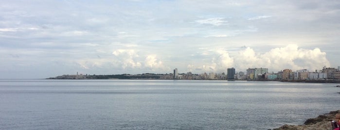 El Malecón is one of Tempat yang Disukai Manuel.