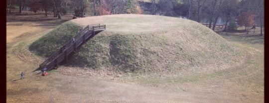Etowah Indian Mounds is one of Native American Cultures, Lands, & History.